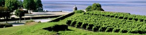 Tai Chi ETRE en Haute Gironde avec l'Ecole de Tai Chi Relationnel Européenne